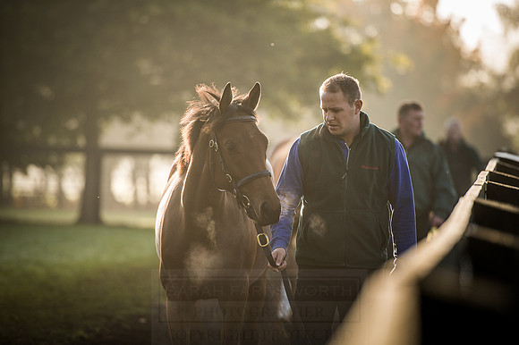 Goffs Orby 2015 -483