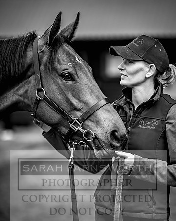 Goffs UK Spring Sale 2024-79
