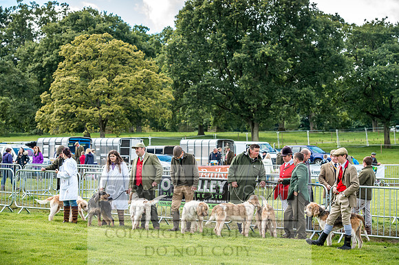 Lowther Hound Show 2017-58