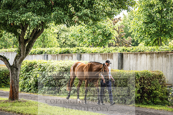Goffs Land Rover Sale 2022-43