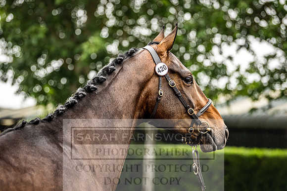 Goffs Land Rover Sale 2022-555