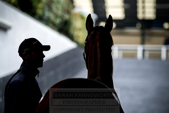 Goffs Orby 2018 Day 1-208