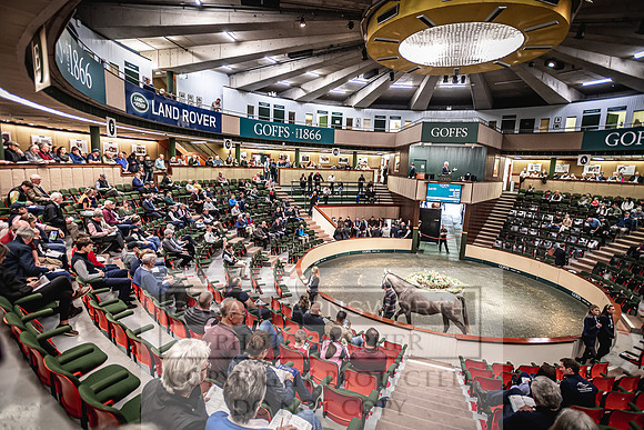 Goffs Land Rover Sale 2022-284