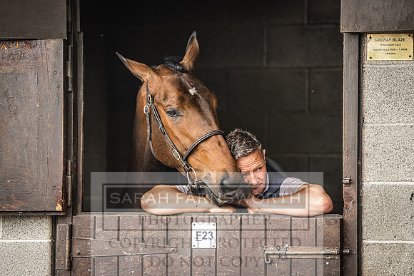 Goffs Land Rover Sale 2022-338