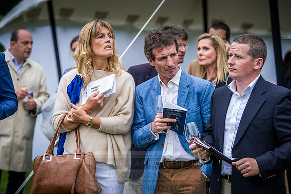 Goffs London Sale 2016-446