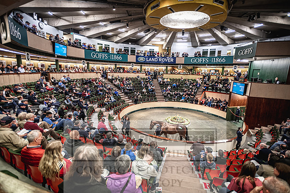 Goffs Land Rover Sale 2022-295