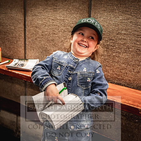 Goffs Land Rover Sale 2022-262