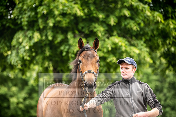 Goffs Land Rover Sale 2022-398