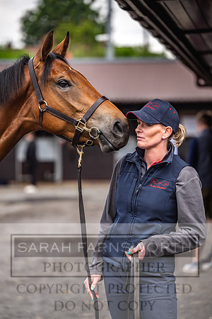 Goffs UK Spring Sale 2024-77