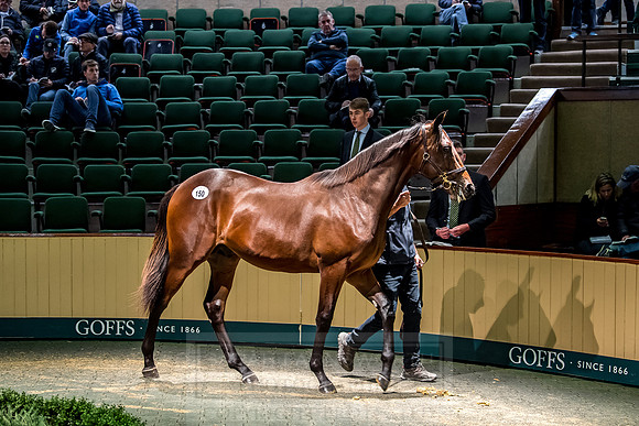 Goffs Orby 2018 Day 1-351