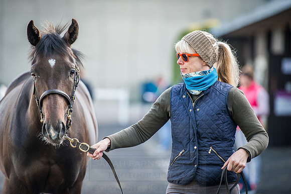 Goffs Orby 2015 -225
