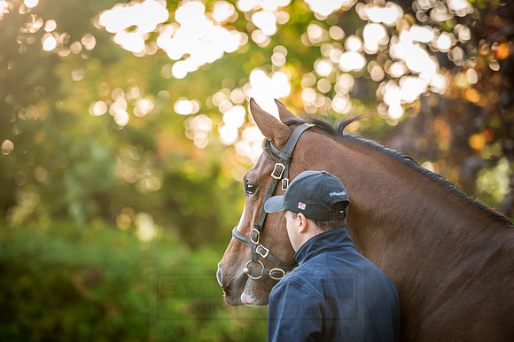 Goffs Orby 2015 -128