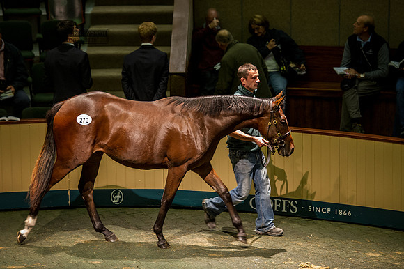Goffs Orby14 CF10 181 - lot 270