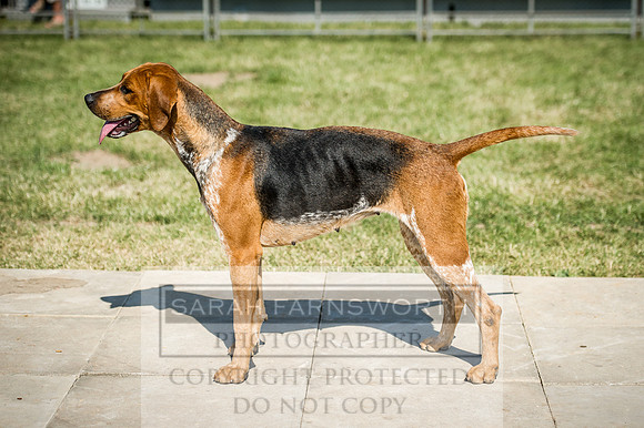 PFoH 2016-661
