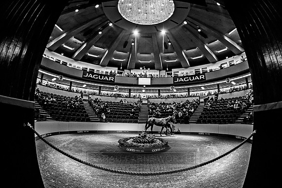 Goffs Orby 2018 Day 1-275
