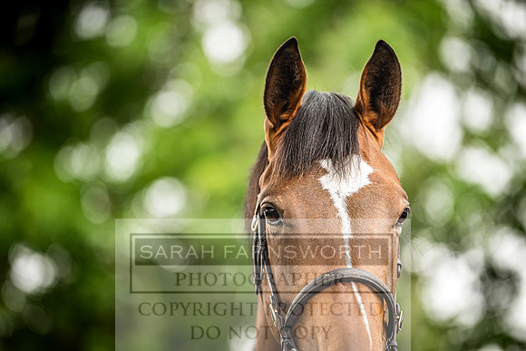 Goffs Land Rover Sale 2022-538