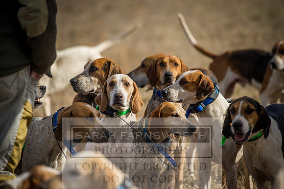 Mooreland Hunt-12