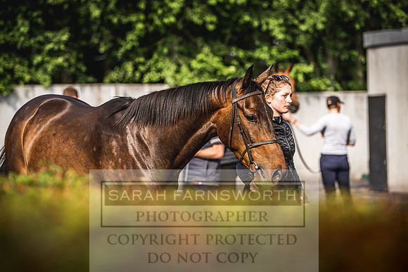 Goffs Land Rover Sale 2022-158