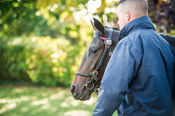 Goffs Orby 2015 -194