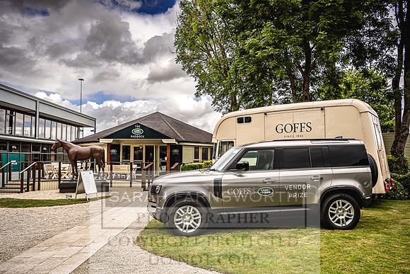 Goffs Land Rover Sale 2022-569