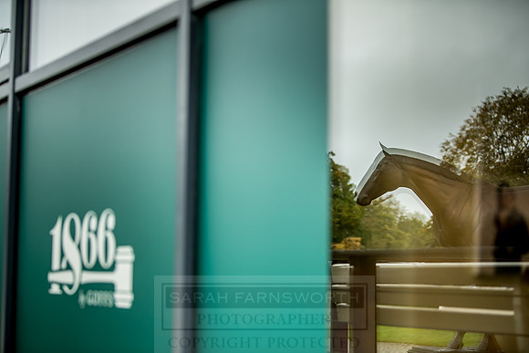 Goffs Orby 2018 Day 2-49