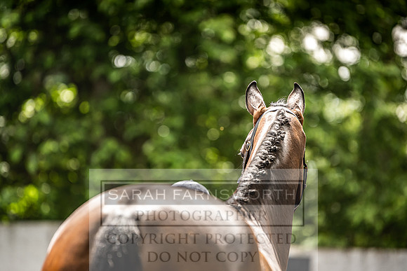 Goffs Land Rover Sale 2022-369