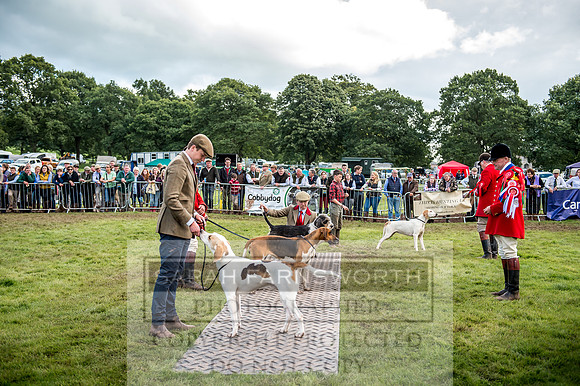 Lowther Hound Show 2017-145