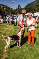 Rydal Hound Show 2022-20