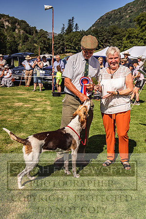 Rydal Hound Show 2022-20