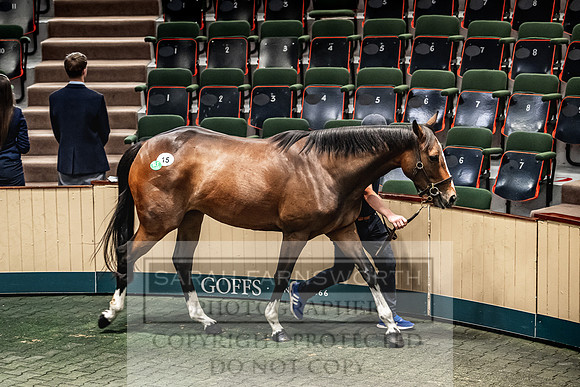 Goffs Land Rover Sale 2022-197
