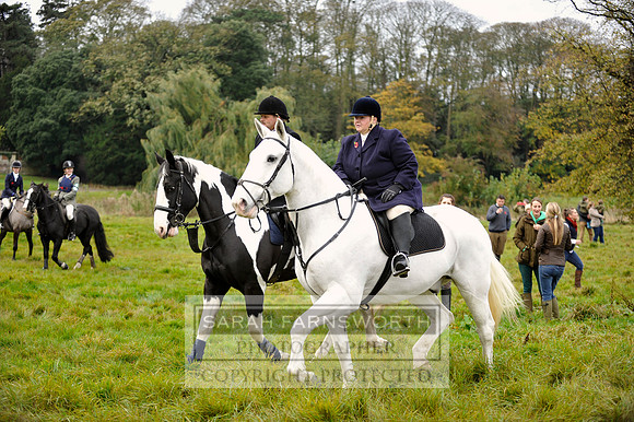 Brocklesby 021113 CF3 399