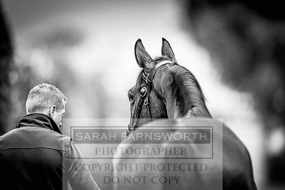 Goffs Land Rover Sale 2022-491