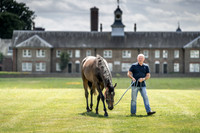 Goffs London Sale 2019-2