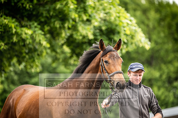 Goffs Land Rover Sale 2022-395