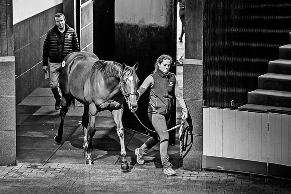 Goffs Orby 2018 Day 1-137