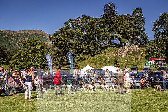 Rydal Hound Show 2022-84