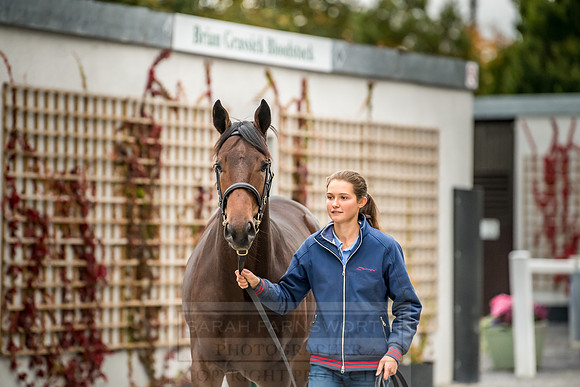 Goffs Orby 2018 Day 2-233