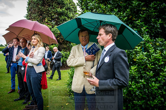 Goffs London Sale 2016-238