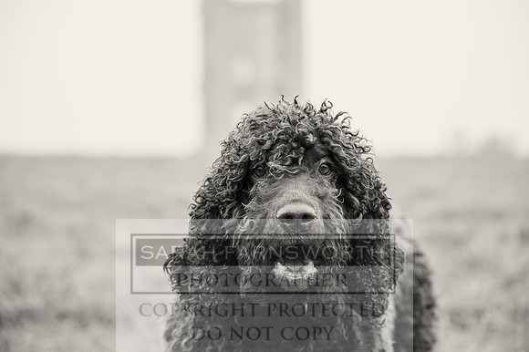 NCH 011214 -3 bw