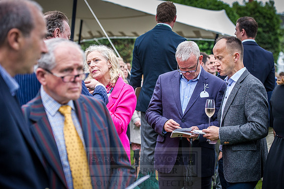 Goffs London Sale 2016-466