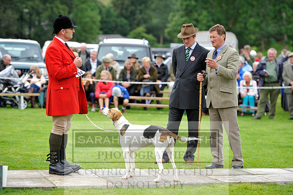 Rydal 2014 CF2 472