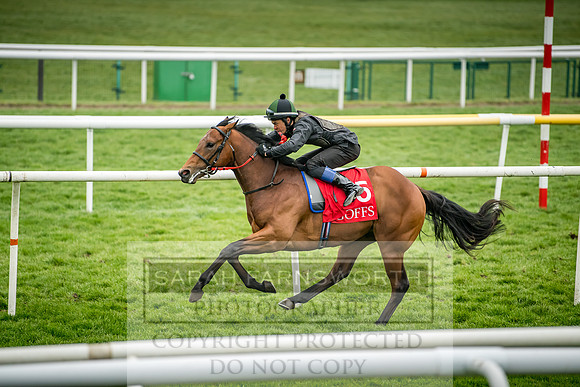 GUK Breeze Up 2018-164