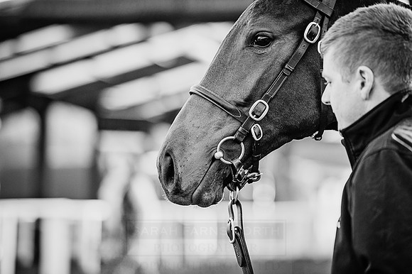 Goffs Orby 2015 -154 bw
