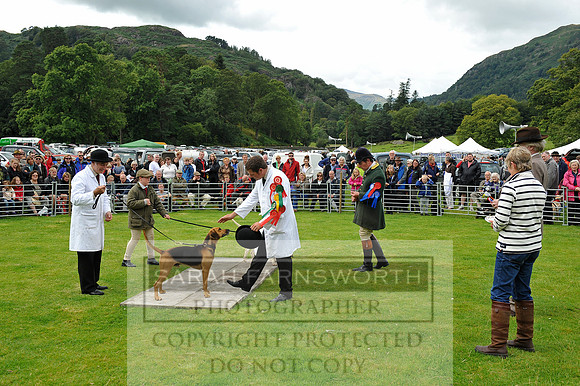 Rydal 2014 CF1 197