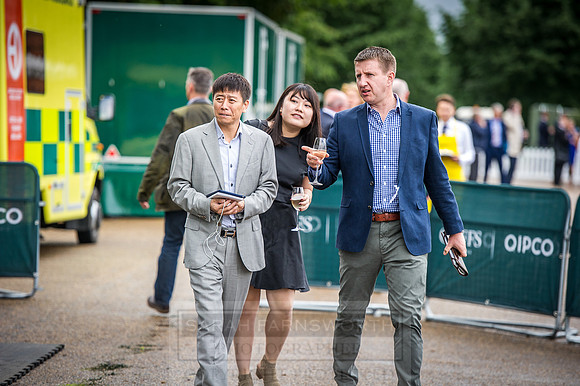 Goffs London Sale 2016-97