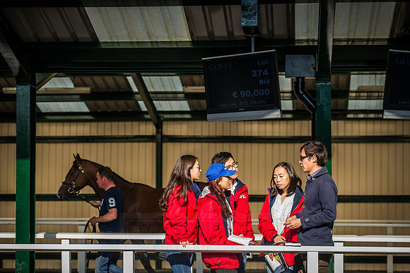 Goffs Orby 2015 -526