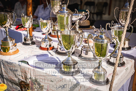 Rydal Hound Show 2022-6