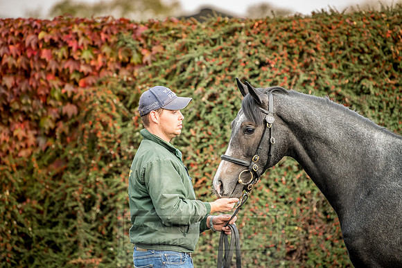 Goffs Orby 2018 Day 2-30
