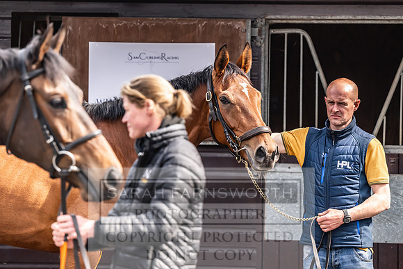 Goffs UK Spring Sale 2024-169