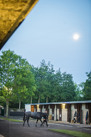 Goffs Orby 2015 -40
